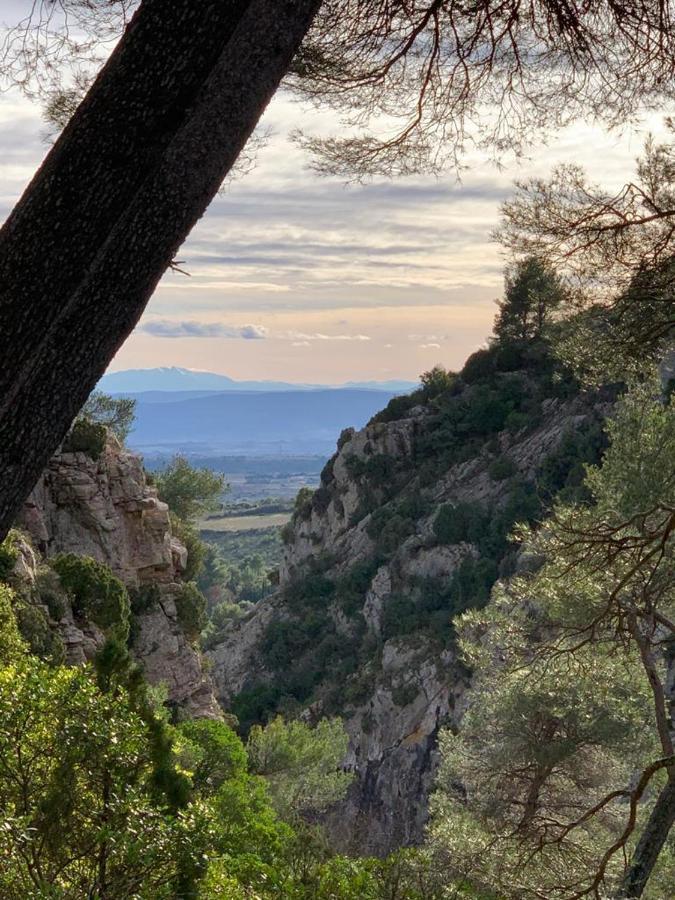 La Cour Carree - Chambres D'Hotes Καρκασόν Εξωτερικό φωτογραφία